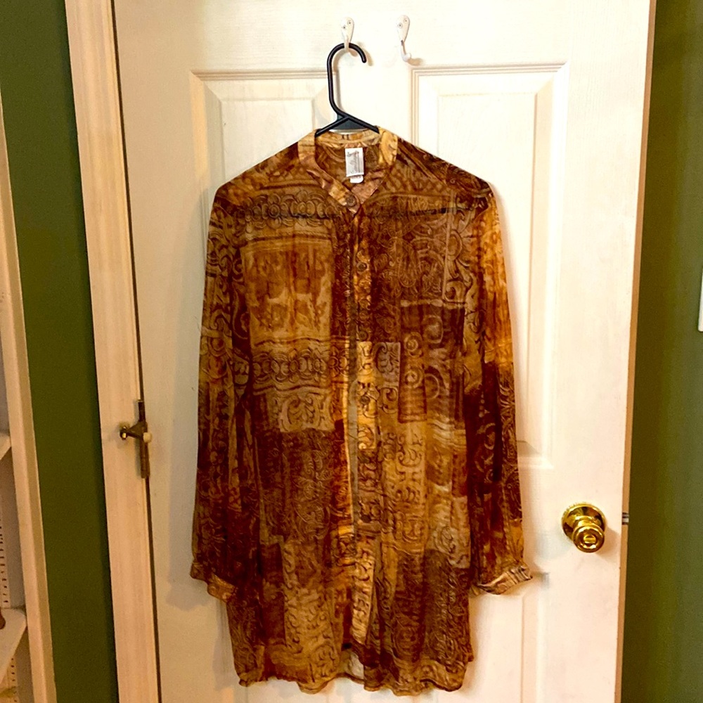 Brown/Gold sheer blouse.